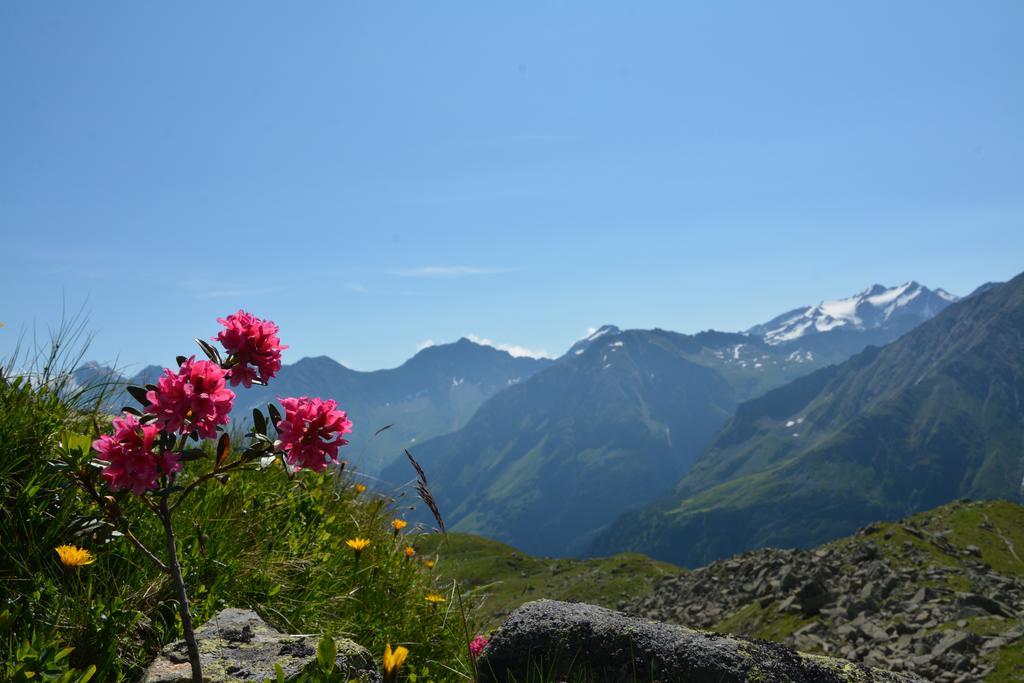 Pension Am Rain Neustift im Stubaital Ngoại thất bức ảnh
