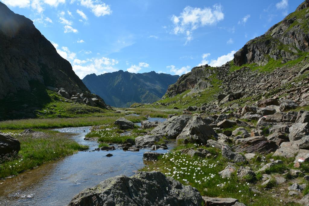 Pension Am Rain Neustift im Stubaital Ngoại thất bức ảnh