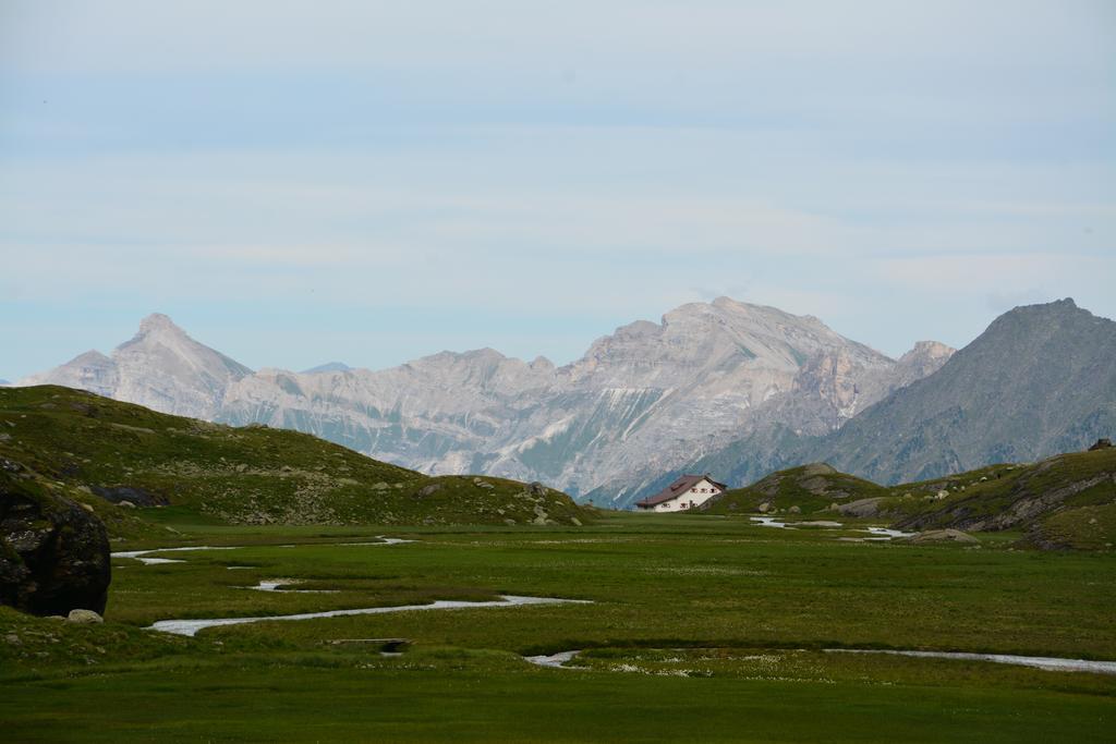Pension Am Rain Neustift im Stubaital Ngoại thất bức ảnh